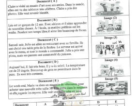 اختبار نهائي - لغة فرنسية - للصف الثاني عشر أدبي - الفصل الأول (نسخة محلولة)